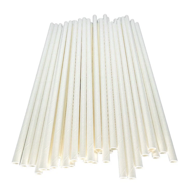 Biodegradable Smoothie Straws